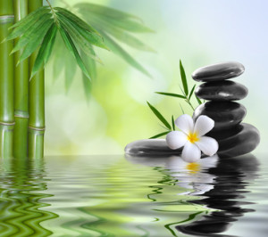 Spa Bathrooms for the Practical Mind